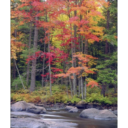 USA, New York, Autumn in the Adirondack Mountains